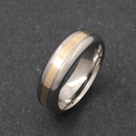 Titanium Ring - Gold Darius